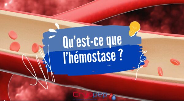 L’hémostase