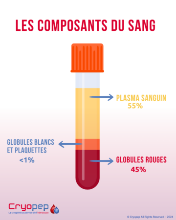Les-composants-du-sang