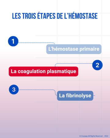 Quest-ce-que-lhemostase-1