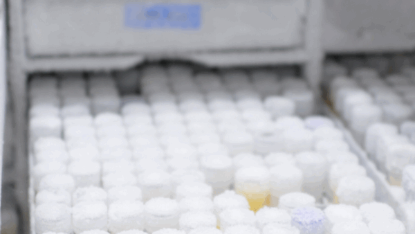 Logistique Cryopep