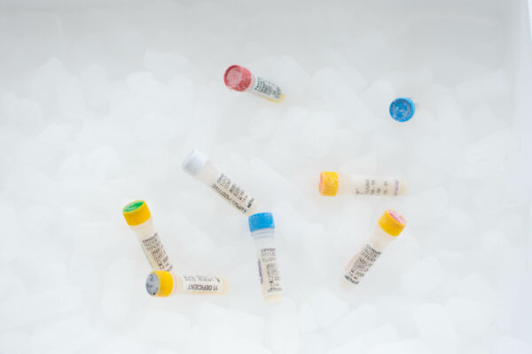 Mix réactifs Precision Biologic