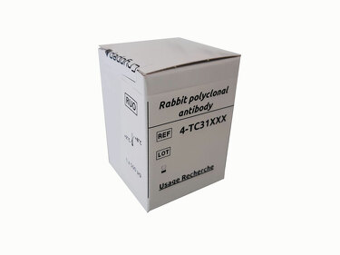 Anticorps polyclonal de lapin anti-PAI-1 humain