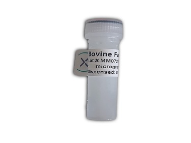 Facteur IX bovin